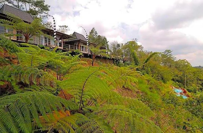 ホテル The Bejalin Eco Retreat